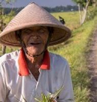 An old man in a field wearing a triangle-shaped hat